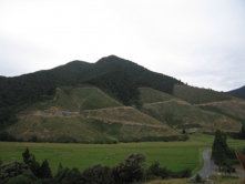 RD1  Rai Valley