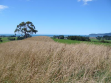 32 Arapeta Place