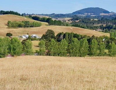 47 Tavinor Rd, Otaika