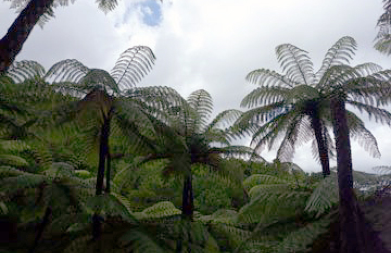 45, Rosalie Bay Road, Great Barrier Island