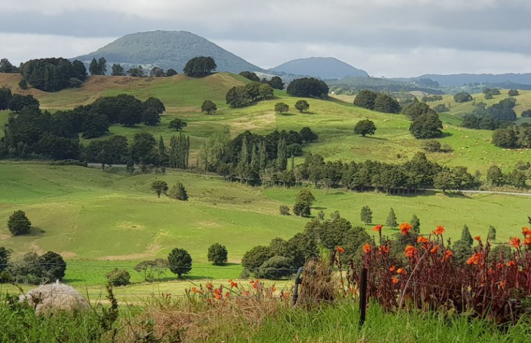 640 Tangihua Rd, Maungakaramea