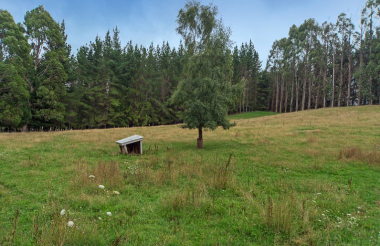 1872 Motueka River West bank Road, Motueka Valley