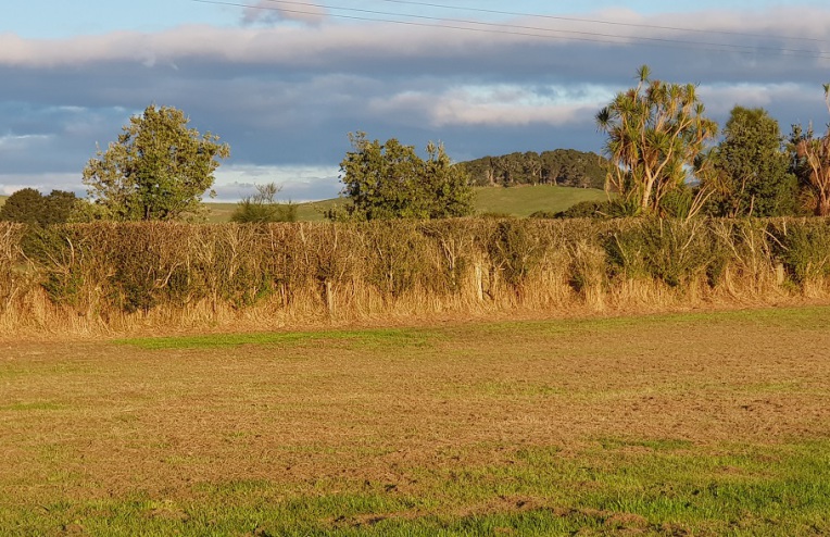 92 South Rd, Waipu