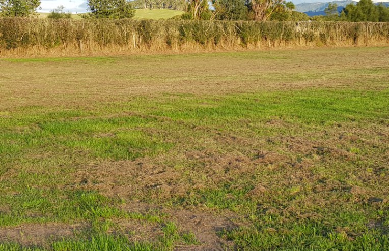 92 South Rd, Waipu