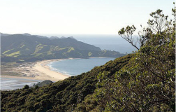 45, Rosalie Bay Road, Great Barrier Island