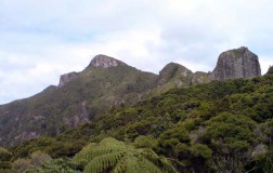 45, Rosalie Bay Road, Great Barrier Island