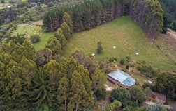 Motueka Valley