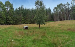 1872 Motueka River West bank Road, Motueka Valley