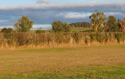 92 South Rd, Waipu